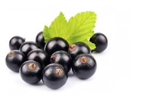 Black currant