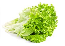 Lettuce